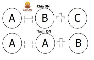 phan-biet-chia-tach-cong-ty